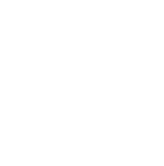 V4 Company